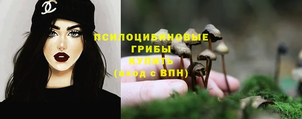 гидра Медногорск